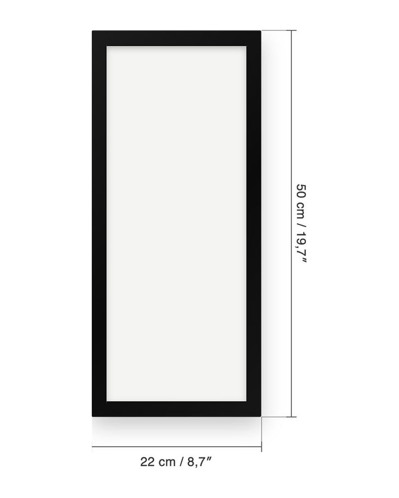 Dimenzije okvira: 22 × 50 cm